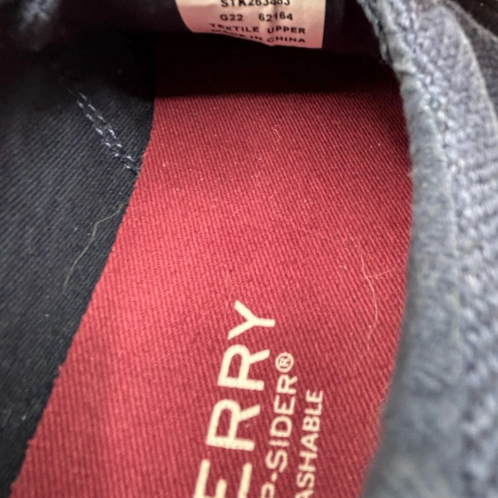 Sperry Men's Navy Casual Shoes